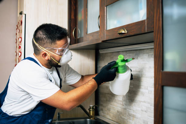 Best Pest Inspection Near Me  in Fairmount, IN
