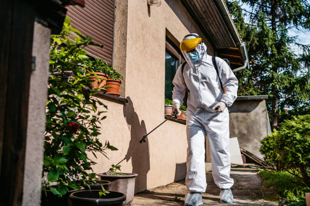 Best Mosquito Control Services  in Fairmount, IN