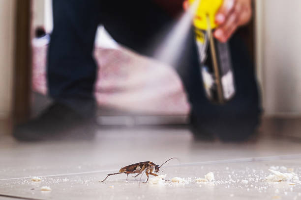 Best Exterminator Services  in Fairmount, IN