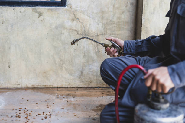 Best Wasp Removal Services  in Fairmount, IN