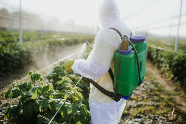 Best Wildlife Control Services  in Fairmount, IN